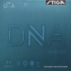 DNA Hybrid M