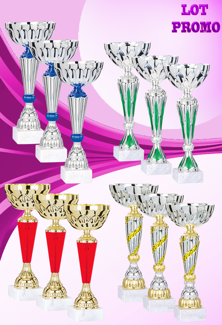 Lot de 12 coupes (Hauteur Moyenne 30 cm)