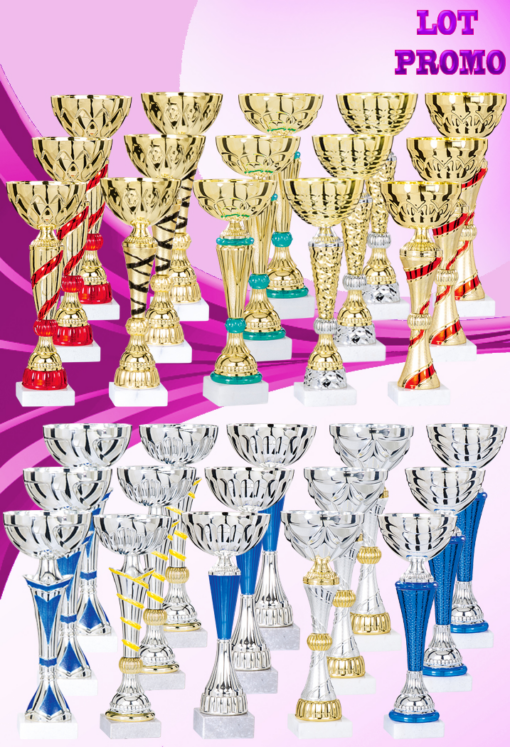 Lot de 30 coupes (Hauteur Moyenne 30,5 cm)